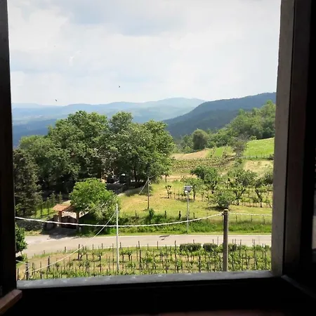 A Due Passi Dal Chianti Apartment *