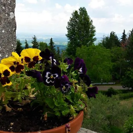 A Due Passi Dal Chianti Apartment *