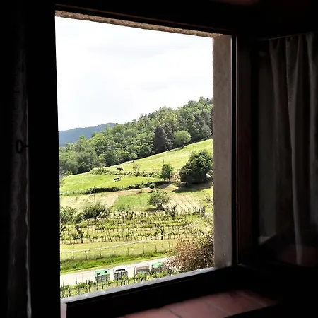Apartment A Due Passi Dal Chianti *