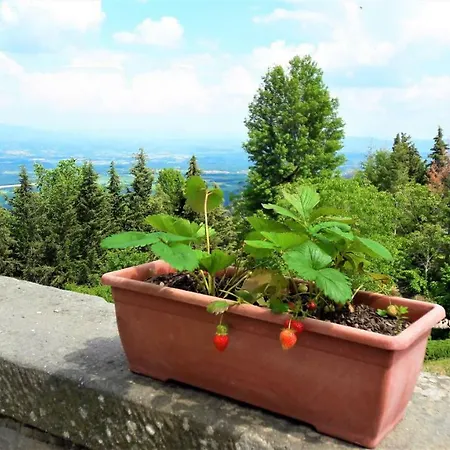 A Due Passi Dal Chianti * Cavriglia